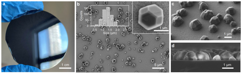 鑽石微粒防偽標籤 (a) ，以及在電子顯微鏡下，鑽石微粒散佈在硅的基底上，從多角度看鑽石微粒分佈（b至d）
 